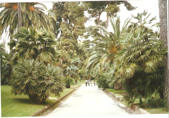 giardino botanico di napoli -24